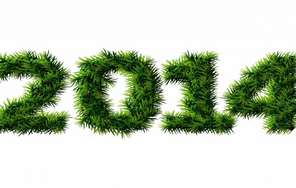 С Новым 2013-2014 годом