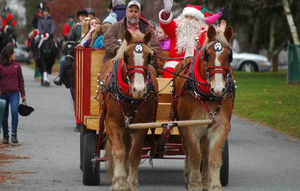 Дед мороз на лошади