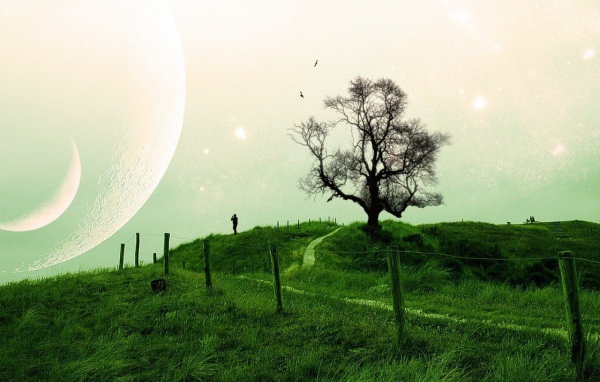 Композиция на тему природа