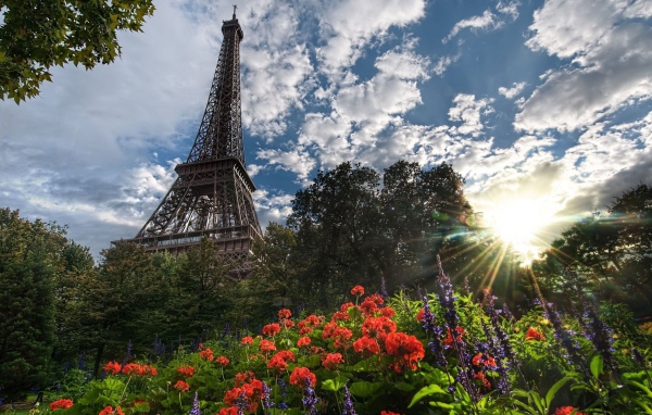 Башня и цветы в Париже