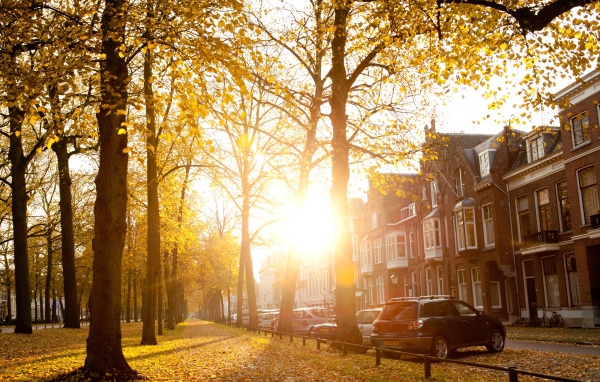 Осенний день в Утрехте