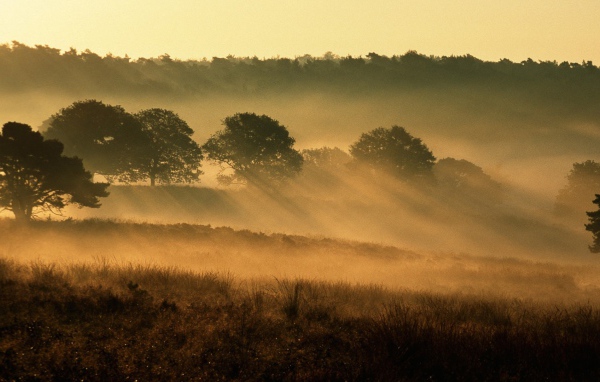 Национальный парк Нидерланды