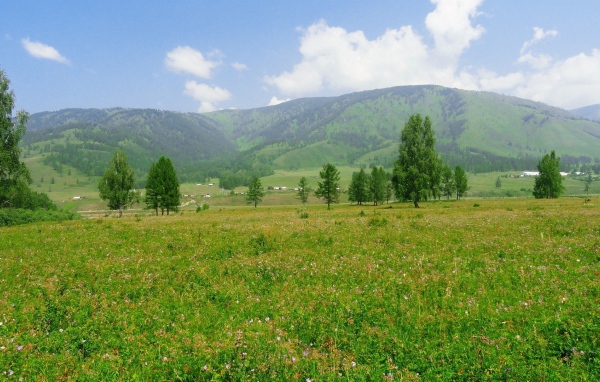 Российский пейзаж с холмами