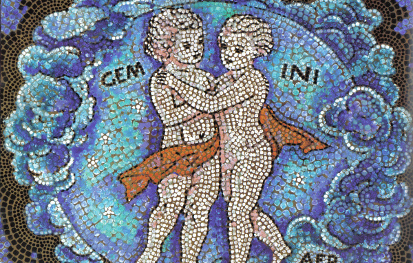 Близнецы, мозаика