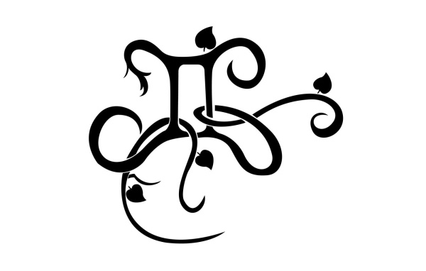 Знак близнецы на белом фоне