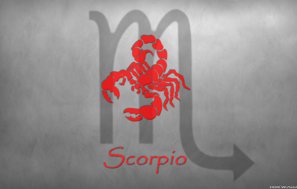 Знак скорпион