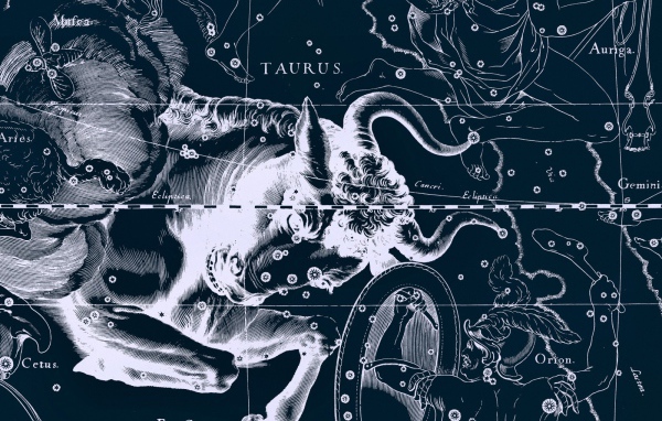 Карта звездного неба, телец