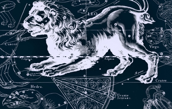 Карта звездного неба, лев