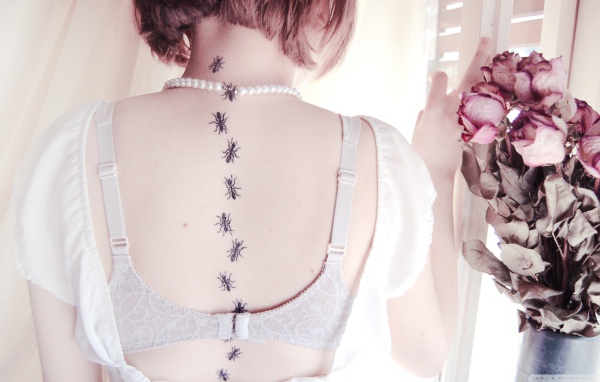 Девушка с татуировкой муравьи на спине