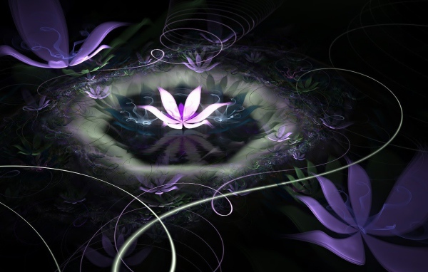 Абстрактные лилии