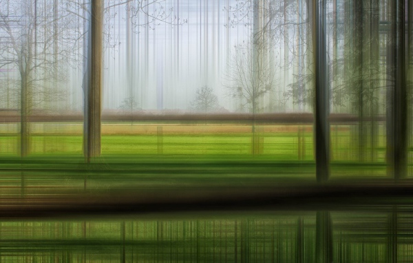 Размытый лес