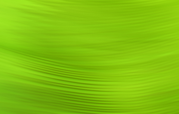 Зеленый фон