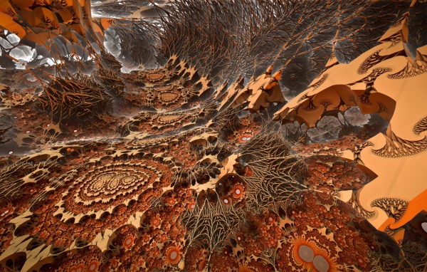 Загадочный мир корней