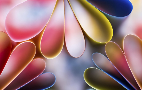 Лепестки цветов