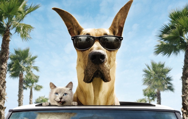 Животные герои фильма