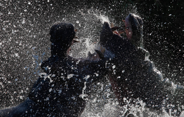 Битва бегемотов