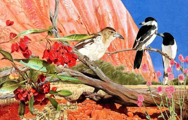 Общение птиц