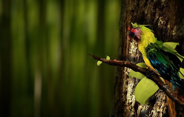 Попугай на ветке