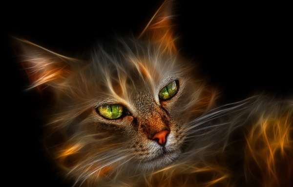 Огненная кошка