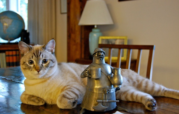 Кот у статуэтки