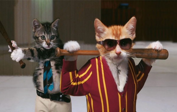 Коты с битами