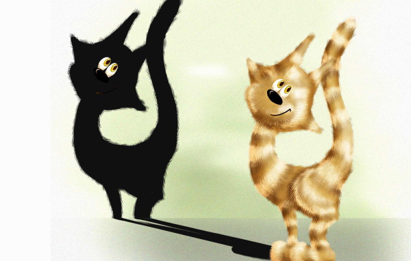 Тень кота с глазами