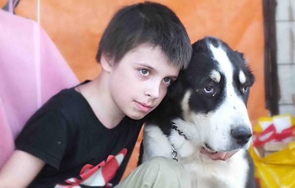 Мальчик сидит с алабаем