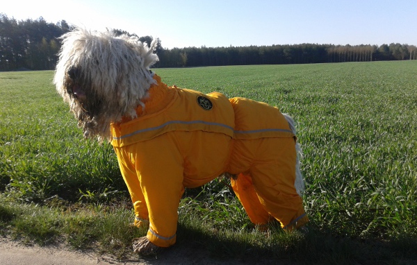 Комбинезон для комондора