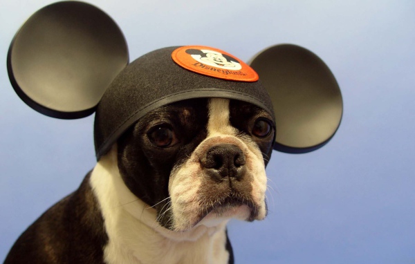 Собака Микки Маус