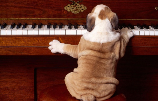 Сыграй снова 