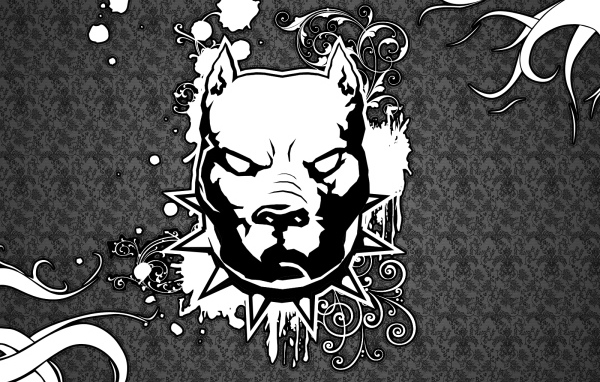 Изображение злого питбуля