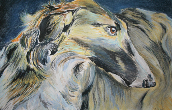 Русская борзая на рисунке