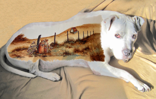 Картина на спине американского стаффордширского терьера