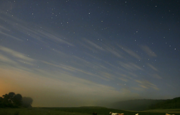 Лошади под звездным небом