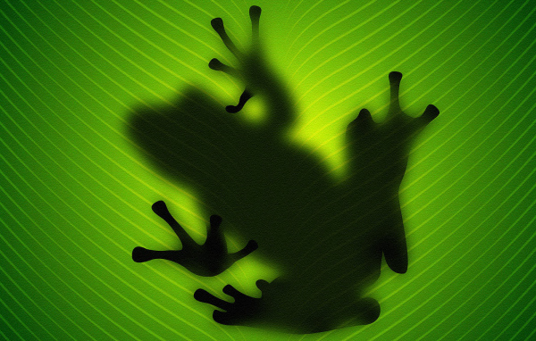 Силуэт лягушки