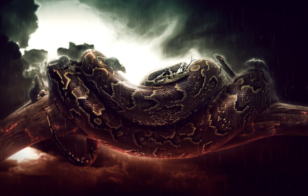 Мыши бегают по удаву