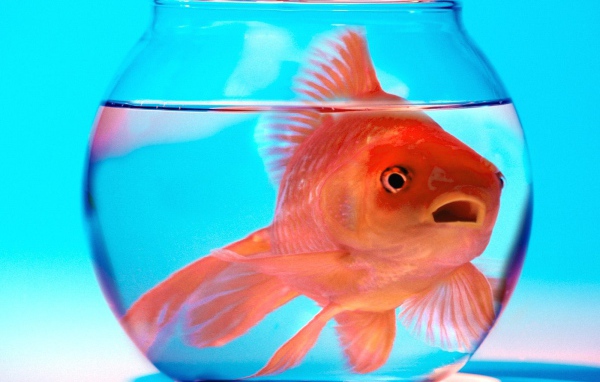 Не волнуйся