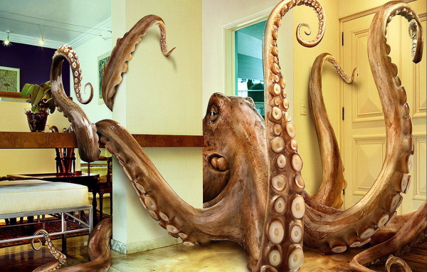 Гигантский осьминог в комнате