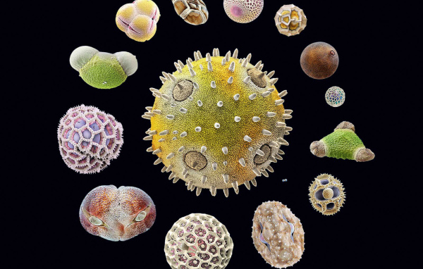 Морская тема