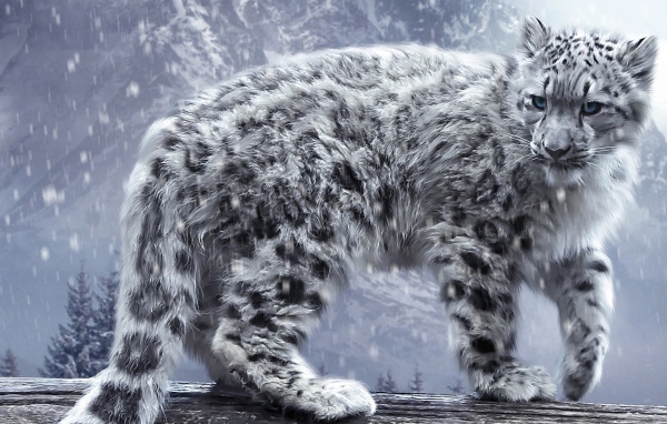 Белый леопард