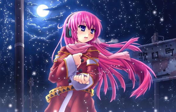 Девочка зимней ночью