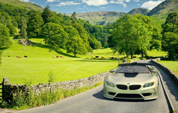 Автомобиль BMW на поле