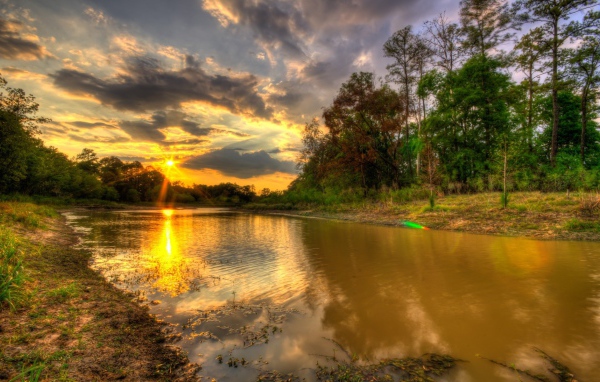 Автомобили на природе