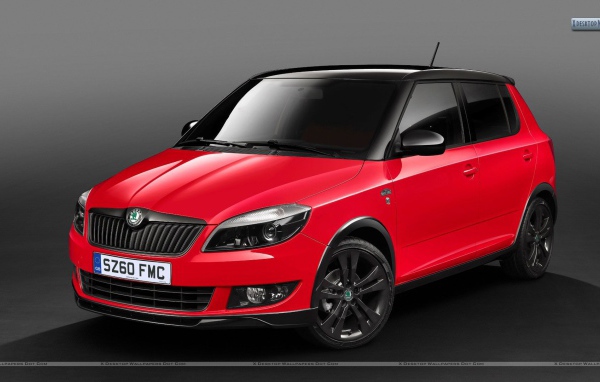 Тест драйв автомобиля Skoda Fabia