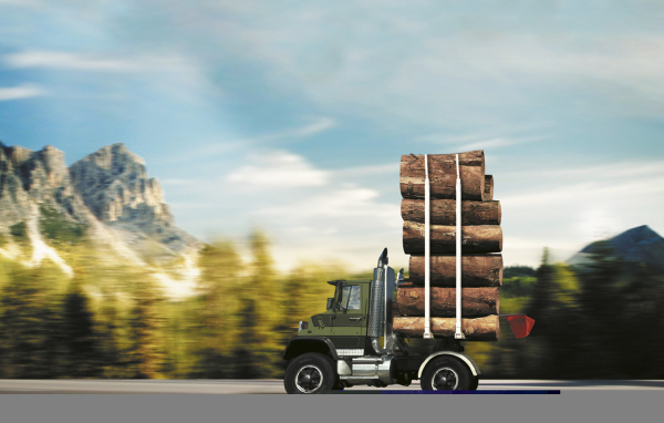 Автомобиль лесовоз