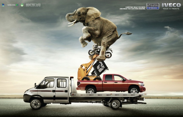 Слон на автомобиле