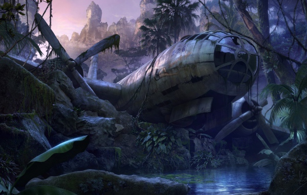 Самолет упал в джунгли