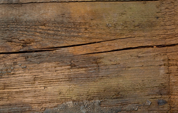 Растрескавшееся дерево