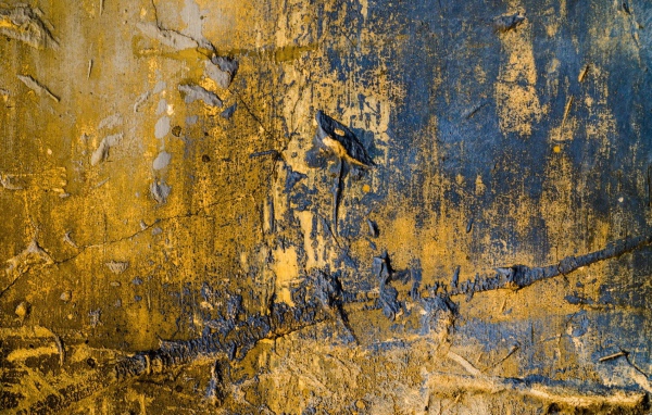 Призрак старого леса