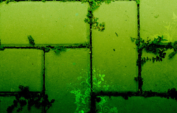 Тротуарная плитка